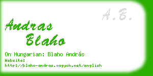 andras blaho business card
